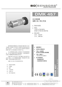 BDSensors DMK 457 壓力變送器與雷達(dá)傳感器產(chǎn)品說(shuō)明書